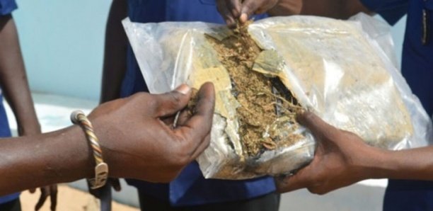 L’Office central de répression du trafic illicite de stupéfiants (OCRTIS) n’a toujours pas de patron. Près d’un mois après son départ, c'est le commissaire Ibrahima Diop, nommé Directeur de la sécurité publique (DSP), qui assure l’intérim. À en croire L’Observateur qui donne l'information, il cumule les deux postes de DSP et de directeur l’OCRTIS. Un retard qui s’explique par le fait que l’actuel DG de la police nationale, Seydou Bocar Yague, veut procéder à un meilleur profilage du futur directeur de l’OCRTIS. Ce, en raison du caractère sensible de ce département éclaboussé dans le passé par une affaire de corruption. La liste des potentiels directeurs de l'OCRTIS Toutefois, des noms circulent, ici et là, comme potentiels directeurs de l"OCRTIS. Il s’agit du commissaire Bassirou Sarr, actuel patron du commissariat spécial de Touba ; du commissaire Ndiarra Sène ; de l’actuel commissaire central de Saint-Louis Mamadou Tendeng ; du commissaire central de Dakar El Hadji Cheikh Dramé ; du patron de la DIC Aliou Bâ et de l’actuel directeur adjoint de la sécurité publique Alassane Niane.